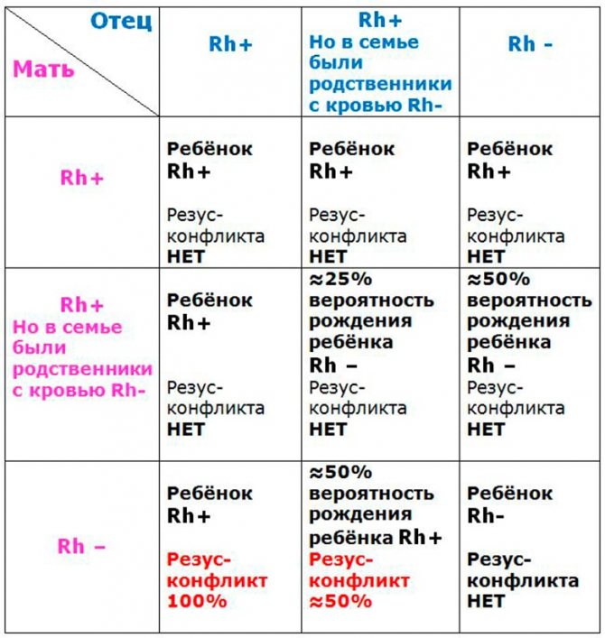 Резус-конфликт при беременности
